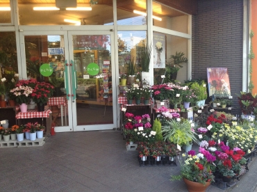 「さくらや」　（静岡県浜松市中央区）の花屋店舗写真1